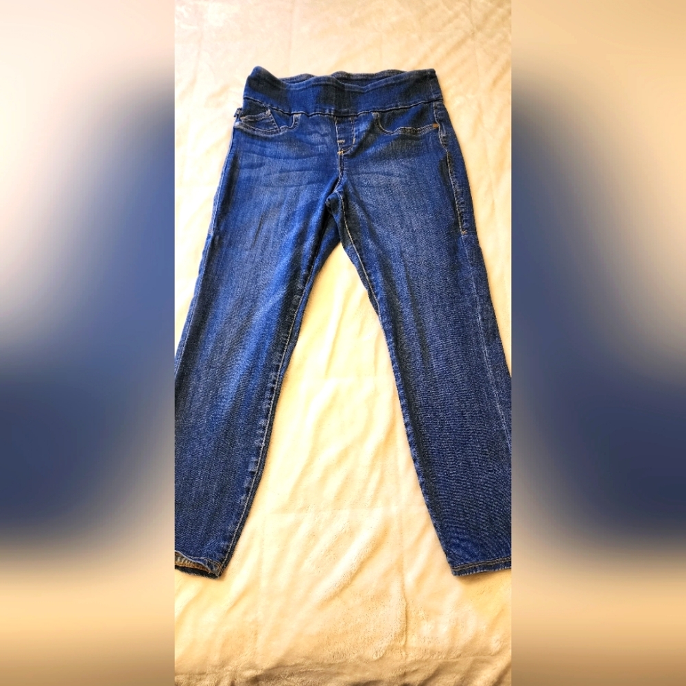 Womens Rock & Republic Fever Crop jeans